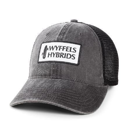 Low Profile Mesh Cap