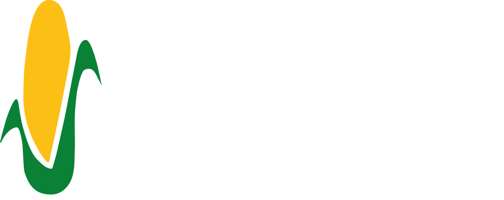 Online Store